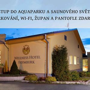 Wellness Hotel Frymburk